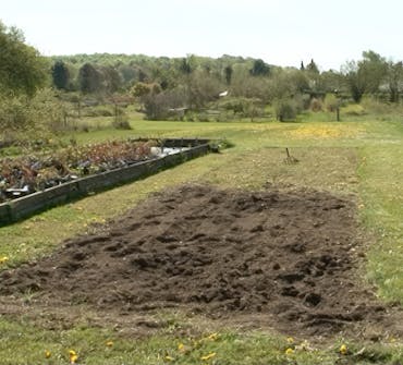 Planlegging av staudebed Planlegging av staudebed